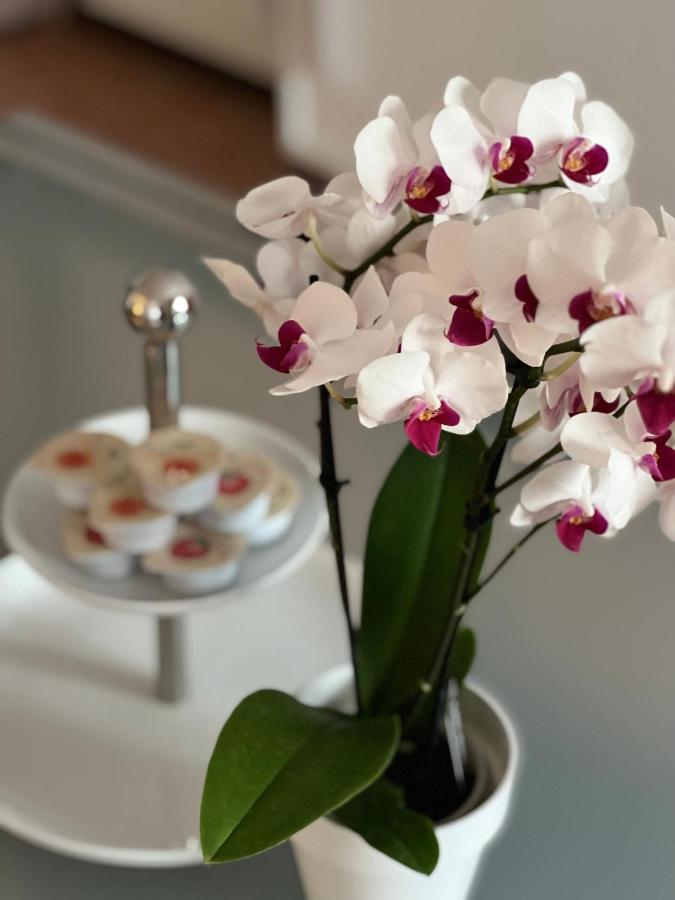 Apartamento Palazzo Malipiero